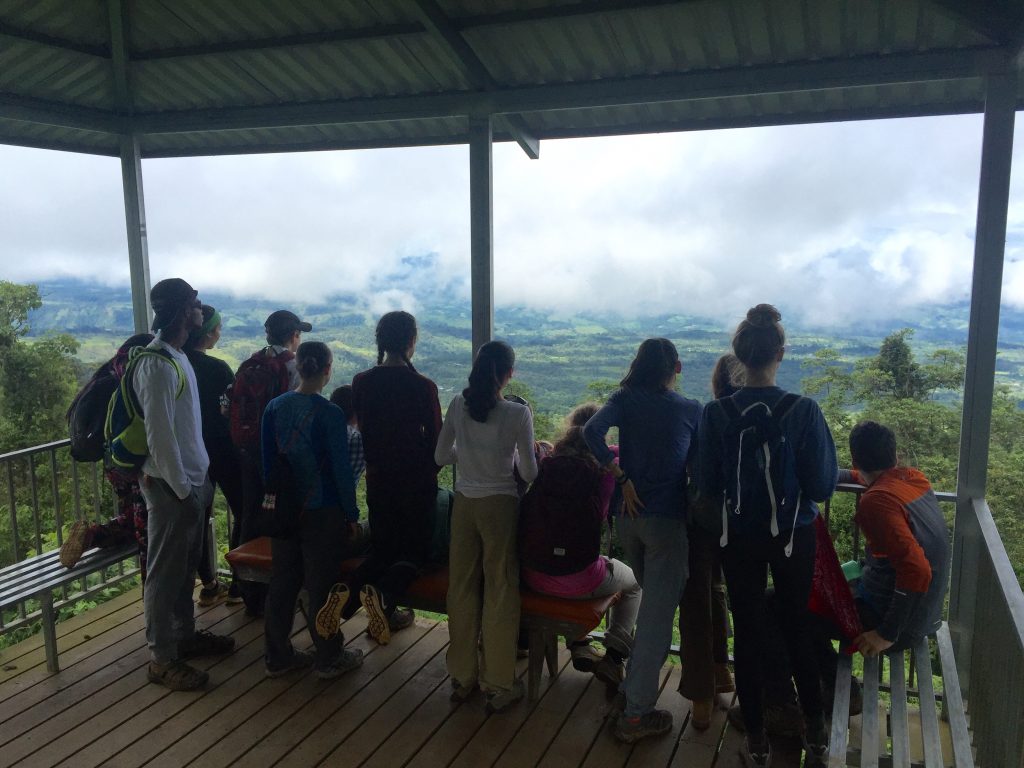 the group daydreams while taking in the beautiful view