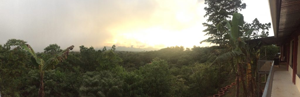 #Views