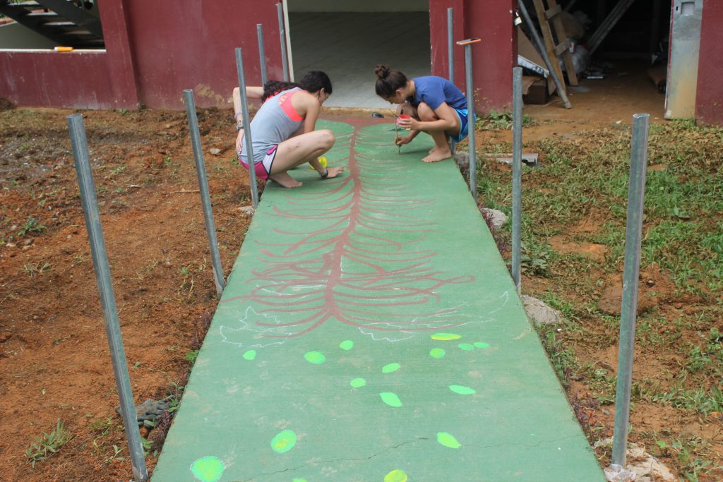 Ally and Mila sketch out our coffee plant's structure.